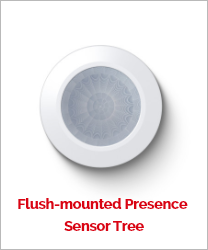 Flush-mounted Presence  Sensor Tree