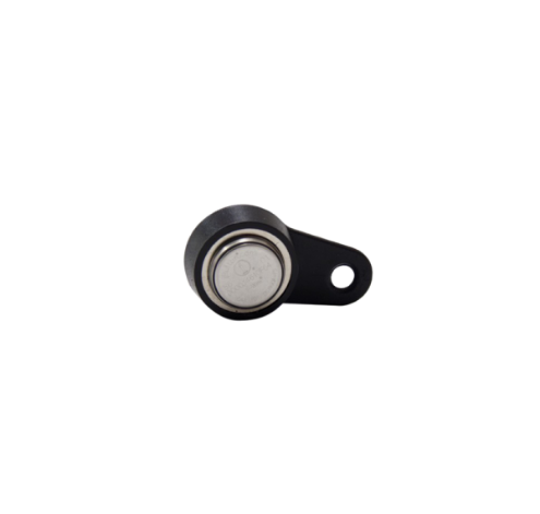 Electronic key - iButton magnetic